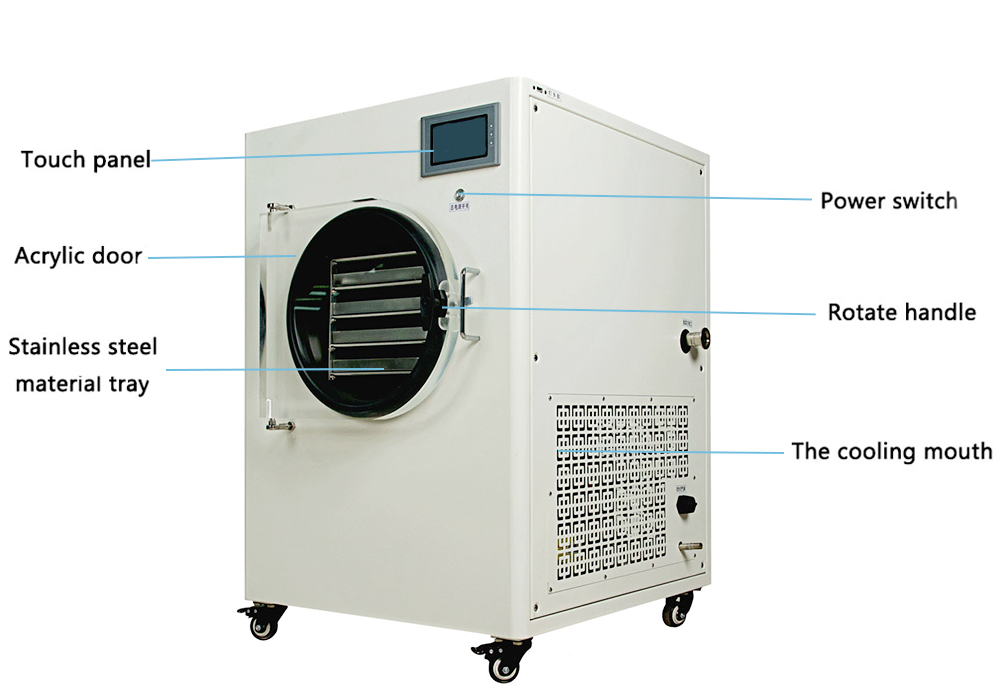 50HZ Sublimation Home Vacuum Freeze Dryer Machine 750W For Food